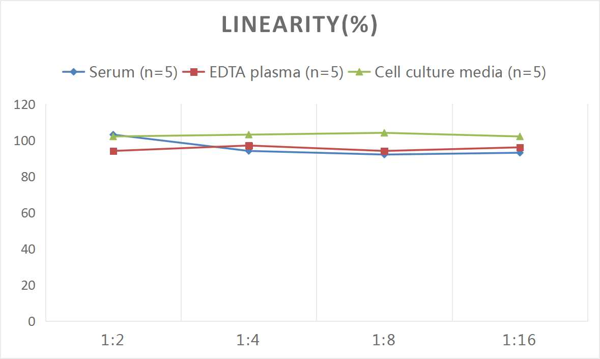 Mouse IFN-γ(Interferon Gamma) ELISA Kit-产品推荐-4