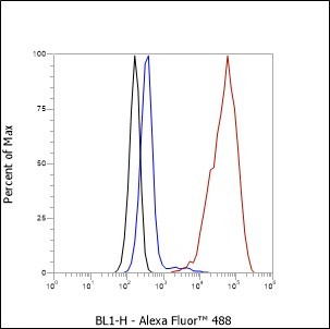 Recombinant Calpastatin Monoclonal Antibody - small - 4