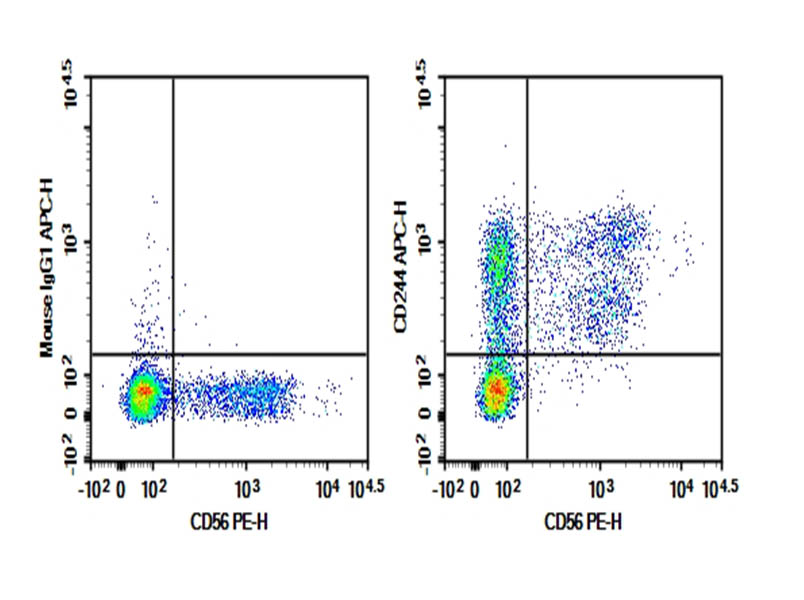 Purified Anti-Human CD244 Antibody[C1.7]-searchlist-1