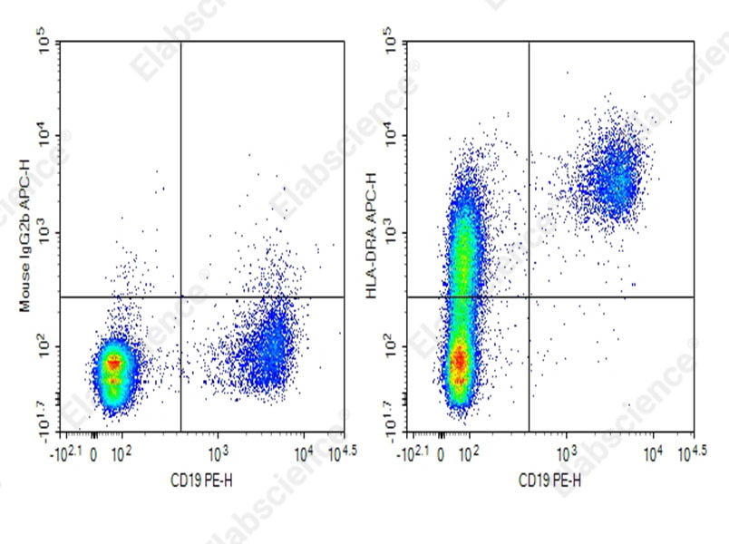 Purified Anti-Human HLA-DRA Antibody[LN3] - 1