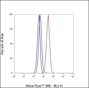 Recombinant Cleaved PARP1 p85 Monoclonal Antibody - 3