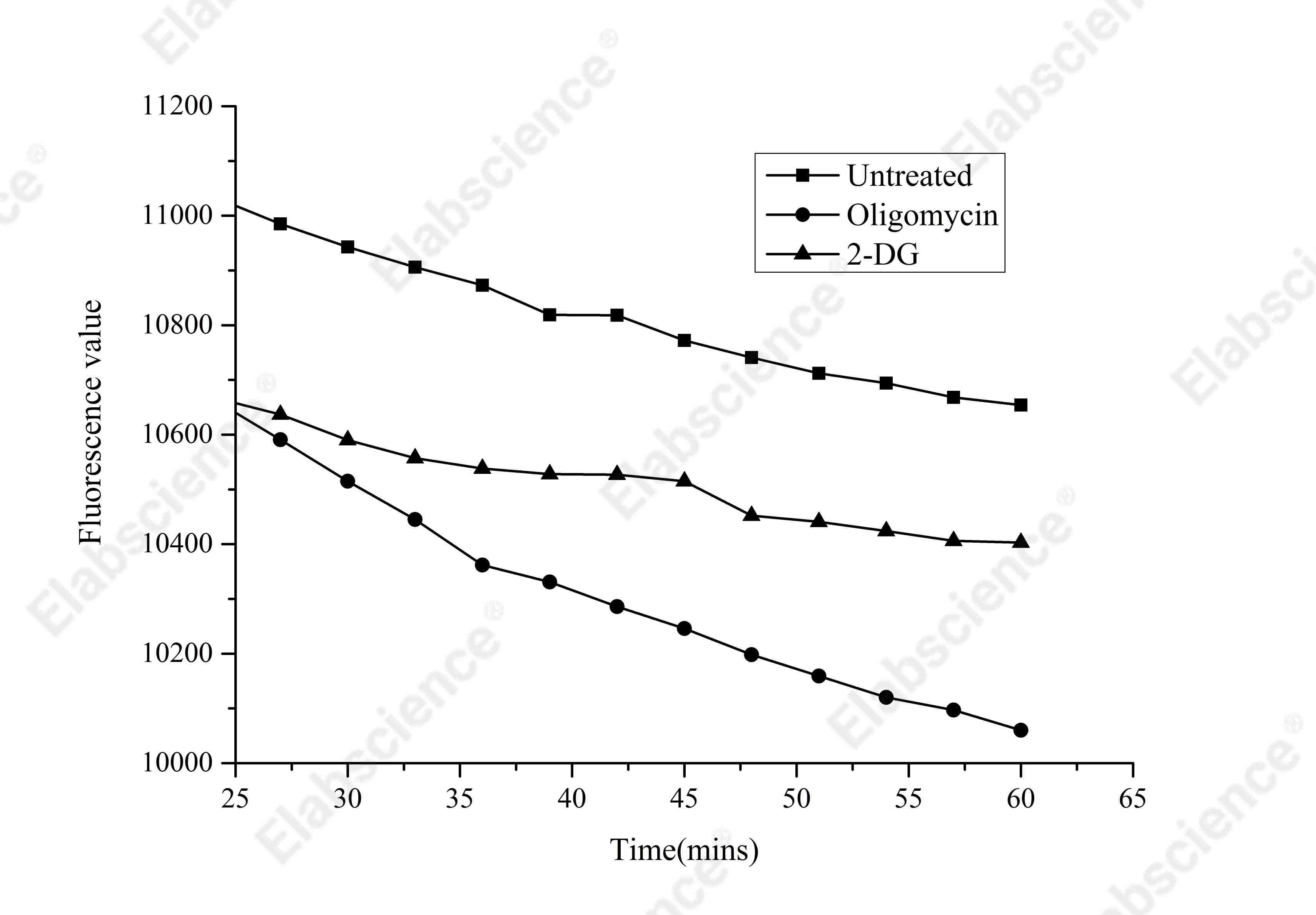 Glycolysis Stress Fluorometric Assay Kit - 1