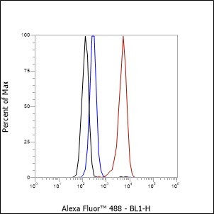 Recombinant SMARCC2/BAF170 Monoclonal Antibody - small - 5