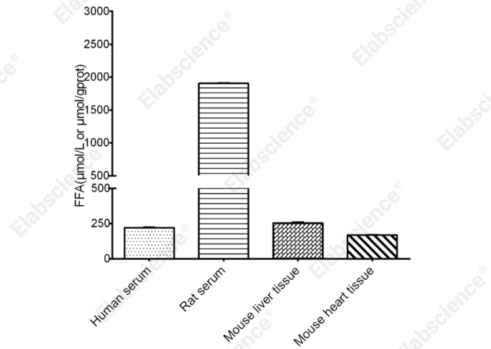 Free Fatty Acids (NEFA/FFA) Fluorometric Assay Kit - 2