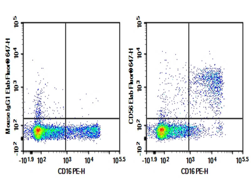Purified Anti-Human CD56 Antibody[HCD56]-1