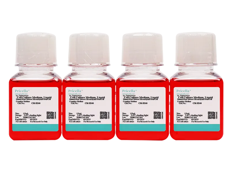 Human Bone Marrow Mesenchymal Stem Cell Complete Medium - small - 2