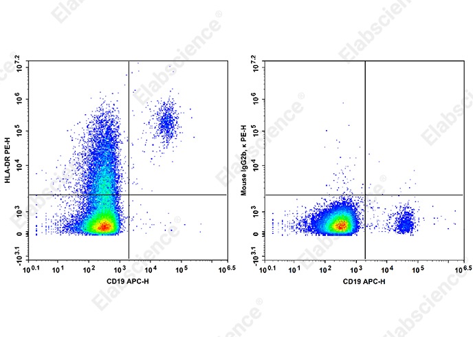 Staining of normal human peripheral blood cells with APC Anti-Human CD19 Antibody and PE Anti-Human HLA-DR Antibody[LN3] (left) or PE Mouse IgG2b, &kappa; Isotype Control (right). Cells in the lymphocytes gate were used for analysis.