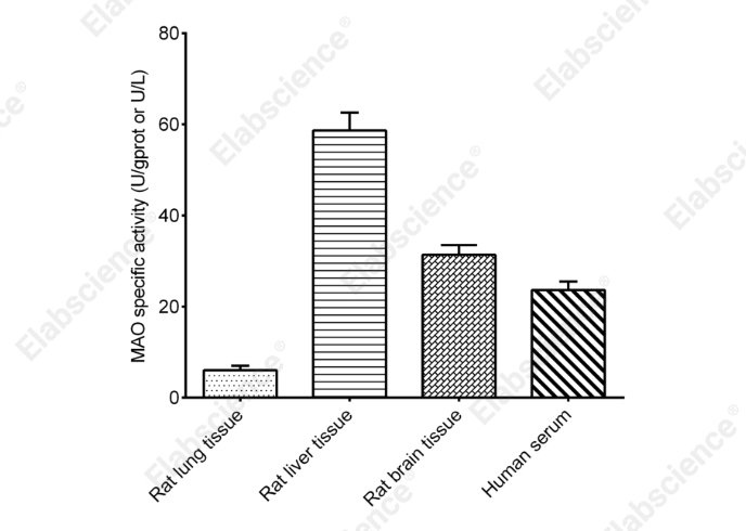 Monoamine Oxidase (MAO) Activity Assay Kit - 1