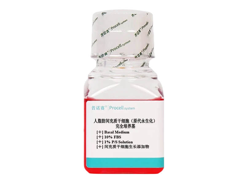 https://789.bio/ec/BZ319MpU