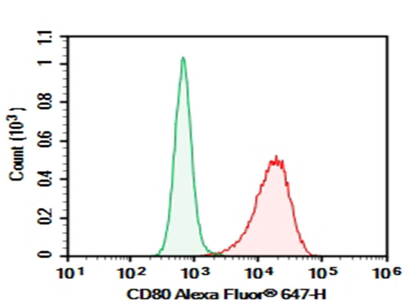 Purified Anti-Mouse CD80 Antibody[16-10A1] - 1