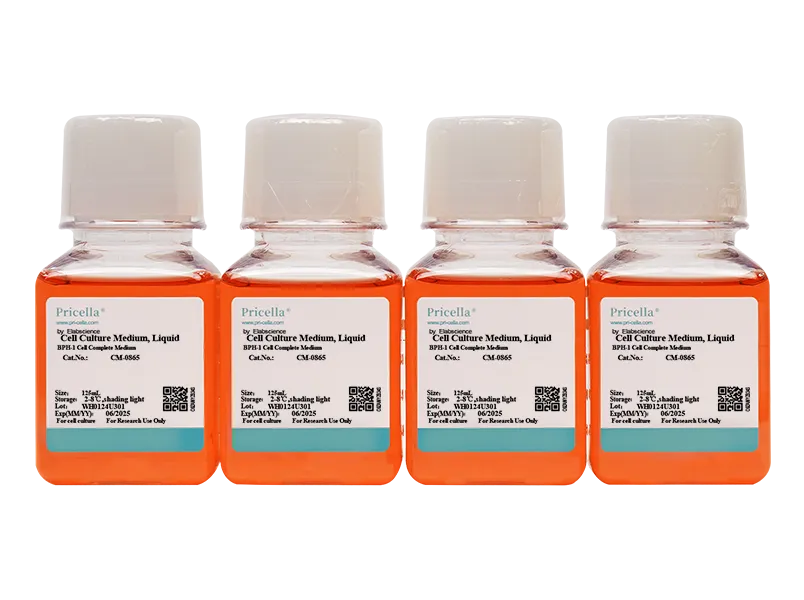 BPH-1 Cell Complete Medium-searchlist-1