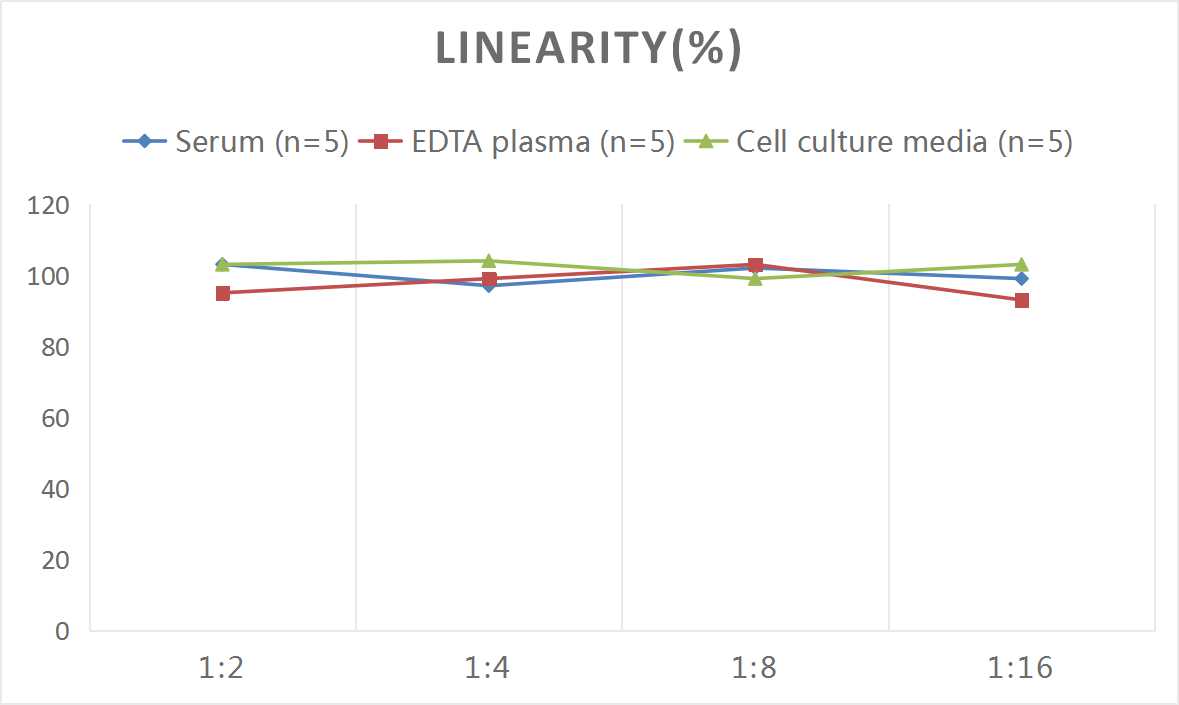 Mini Sample Mouse VEGFR-2/KDR (Vascular Endothelial Growth Factor Receptor 2) ELISA Kit-产品推荐-1