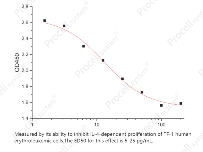 TGFβ1/TGFB1, Mouse, RecombinantTGFβ1/TGFB1, Mouse, Recombinant - 2