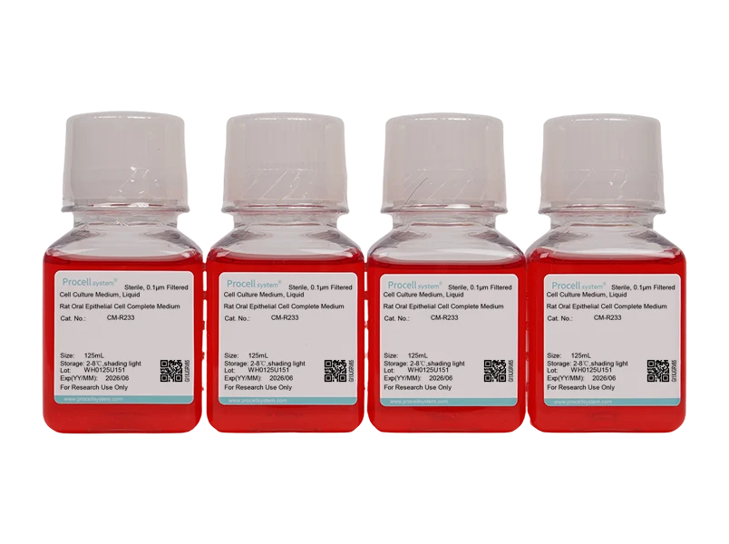 Rat Oral Epithelial Cell Complete MediumRat Oral Epithelial Cell Complete Medium - 2