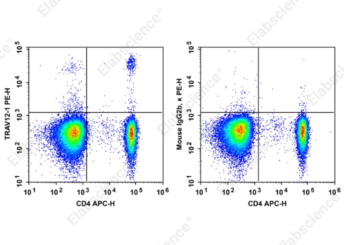 PE Anti-Human TCRβV 12 Antibody[S511] - 1