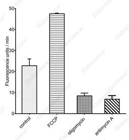 Enhanced Oxygen Consumption Rate (OCR)Fluorometric Assay Kit - 1