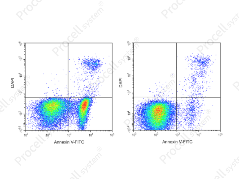 Annexin V-FITC/DAPI Apoptosis Kit