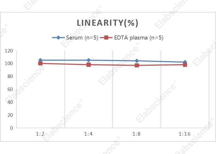 QuicKey Pro Rat IL-1R1 (Interleukin 1 Receptor Type I) ELISA Kit - 2