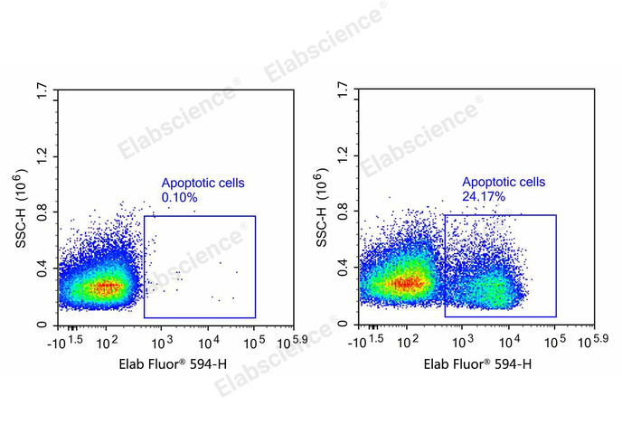 One-step TUNEL Flow Cytometry Apoptosis Kit (Red, Elab Fluor® 594)-1