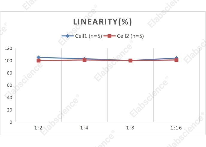 CellaQuant™ Rat IL-18 (Interleukin 18) ELISA Kit - 2