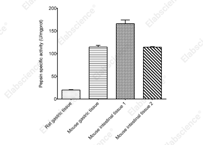 Pepsin Activity Assay Kit - 2