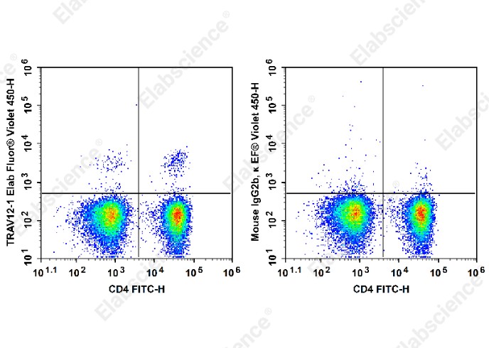 Elab Fluor<sup>&reg;</sup>Violet 450 Anti-Human TCRβV 12 Antibody[S511] - 1