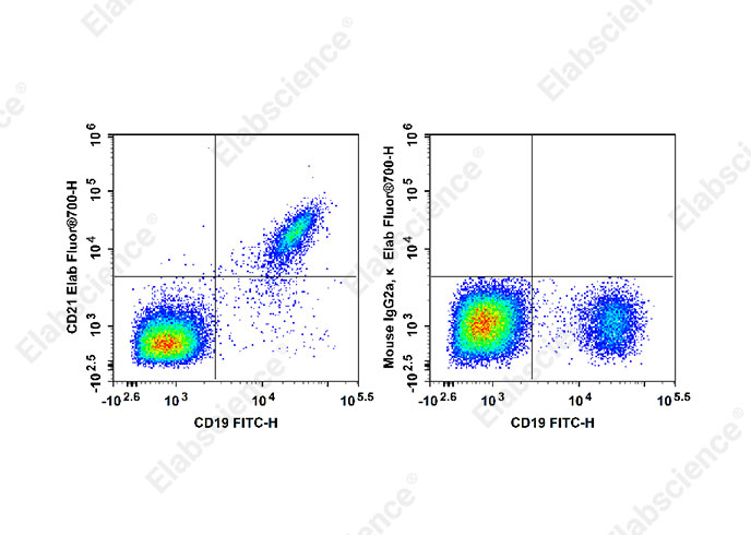 Elab Fluor® 700 Anti-Human CD21 Antibody[HI21a]-1