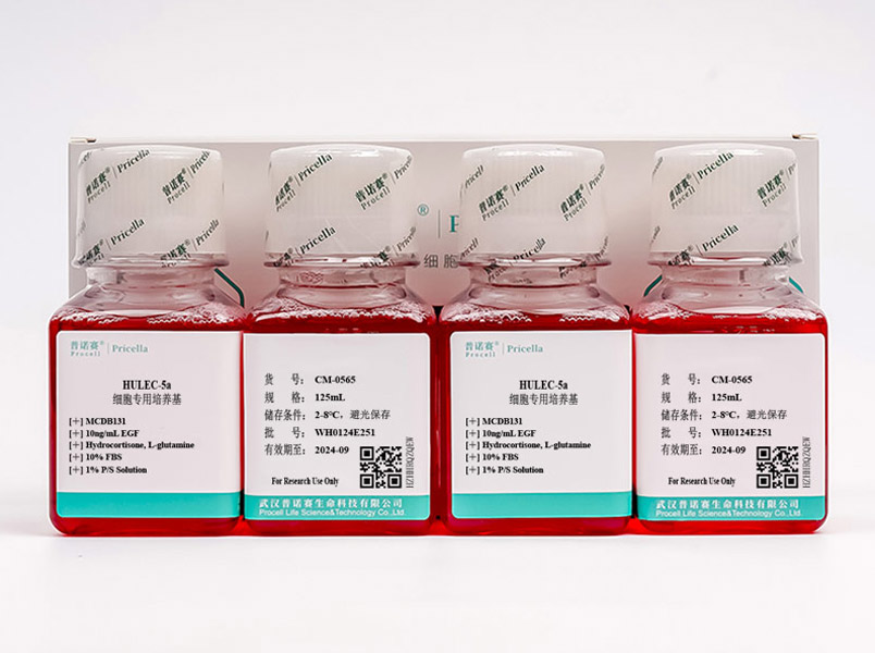 https://789.bio/ec/C4KxH4