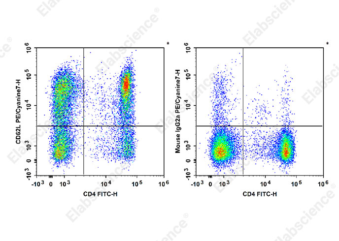 PE/Cyanine7 Anti-Human CD62L Antibody[HI62L]-1