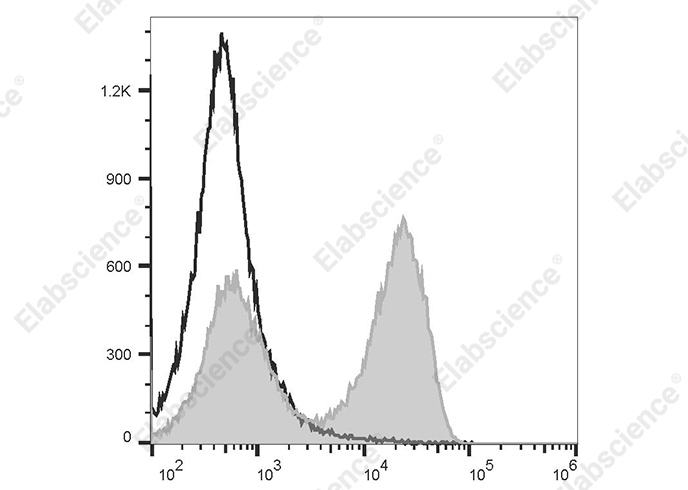 FITC Goat Anti-Rat IgG (H+L) Antibody[Poly1441]-1