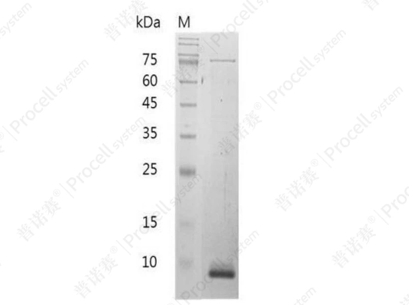 https://789.bio/ec/C4lLR8