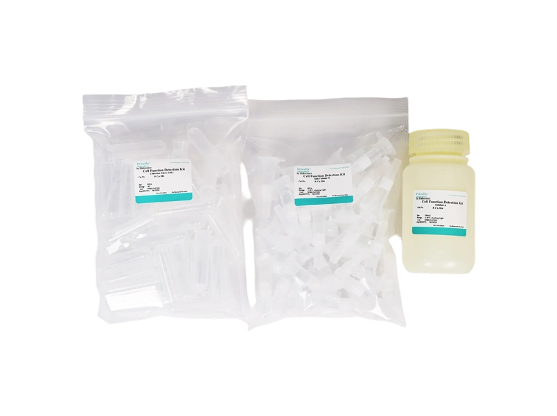 Spin Column Exosome Isolation Kit-searchlist-1