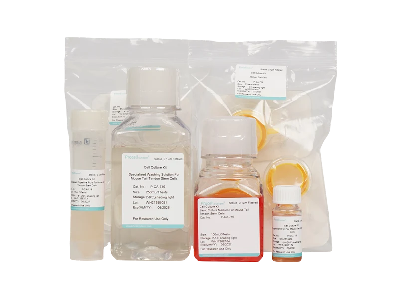 Mouse Tail Tendon Stem Cell Isolation and Culture Kit