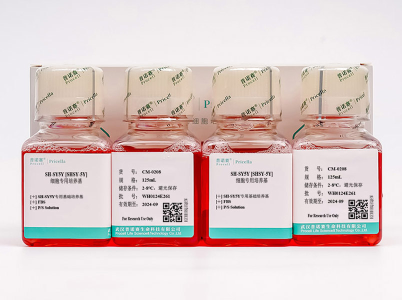 https://789.bio/ec/CClyqD