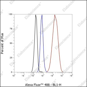 Recombinant B7-H3/CD276 Monoclonal Antibody - 10