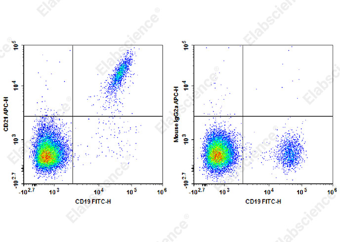 APC Anti-Human CD21 Antibody[HB5]-1