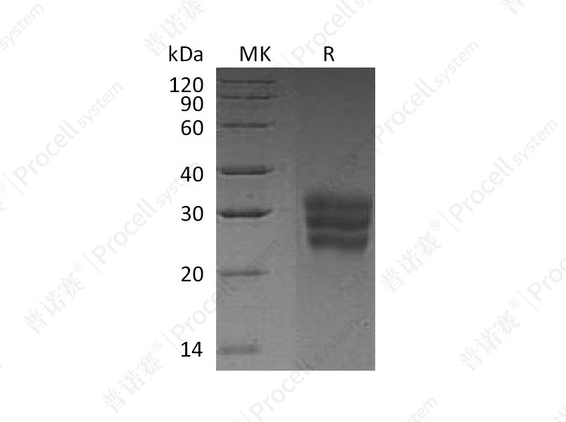 https://789.bio/ec/CGlLOG
