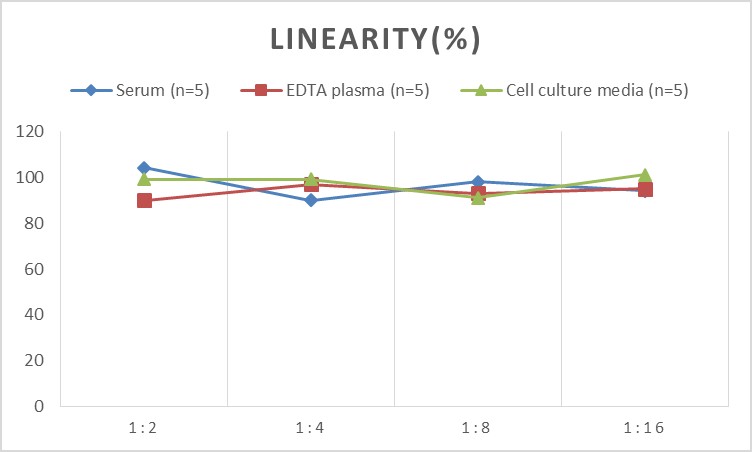 Human TNF-α(Tumor Necrosis Factor Alpha) ELISA Kit-产品推荐-2