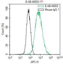 His-Tag Monoclonal Antibody - 2