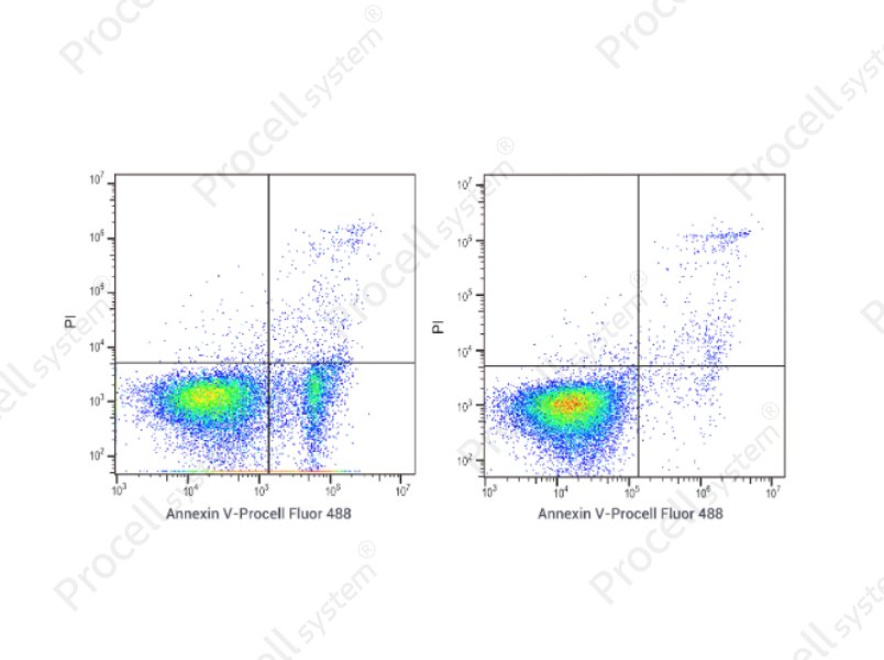 Annexin V-Procell Fluor 488/PI Apoptosis Kit