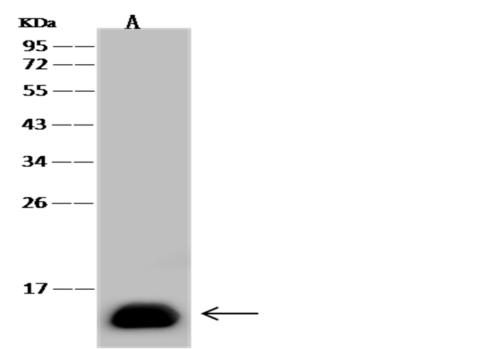 loading