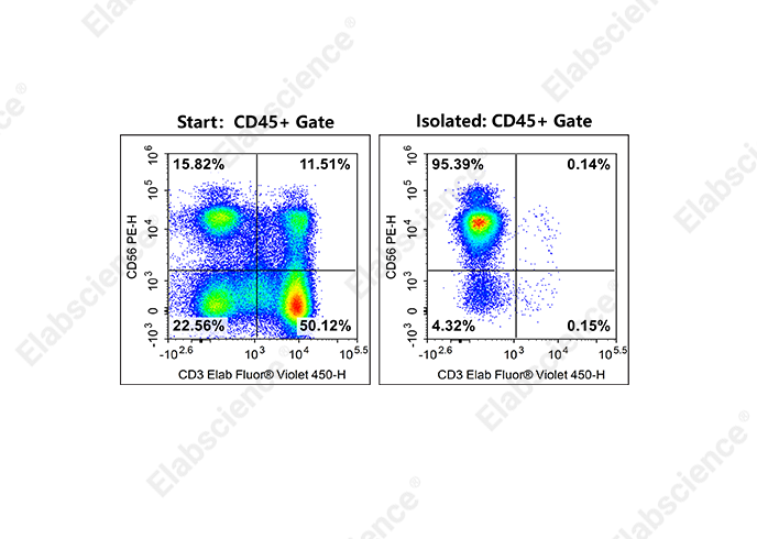 EasySortTM Human NK Cell Isolation Kit - 1