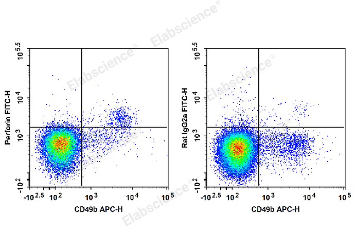 C57BL/6 murine splenocytes are stained with APC Anti-Mouse CD49b Antibody and FITC Anti-Mouse Perforin Antibody (Left). Splenocytes are stained with APC Anti-Mouse CD49b Antibody and FITC Rat IgG2a, κ Isotype Control (Right).