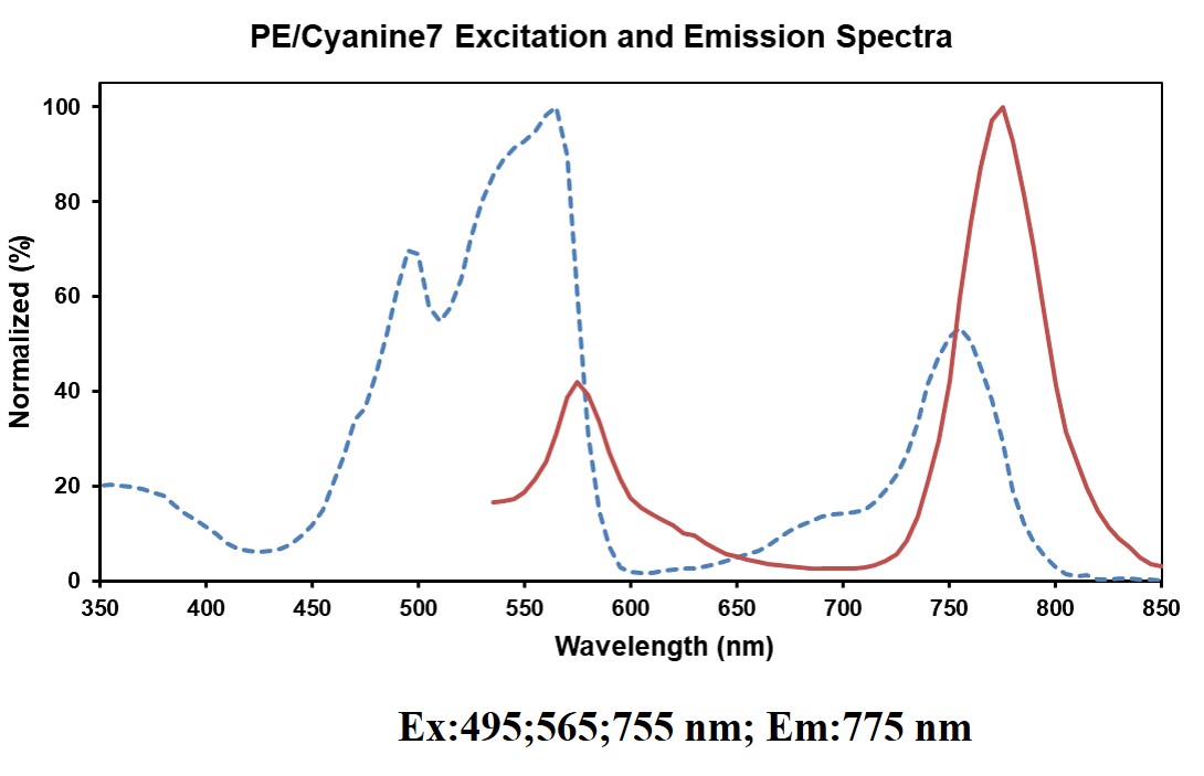 PE/Cyanine7 Anti-Human CD19 Antibody[HI19a]
