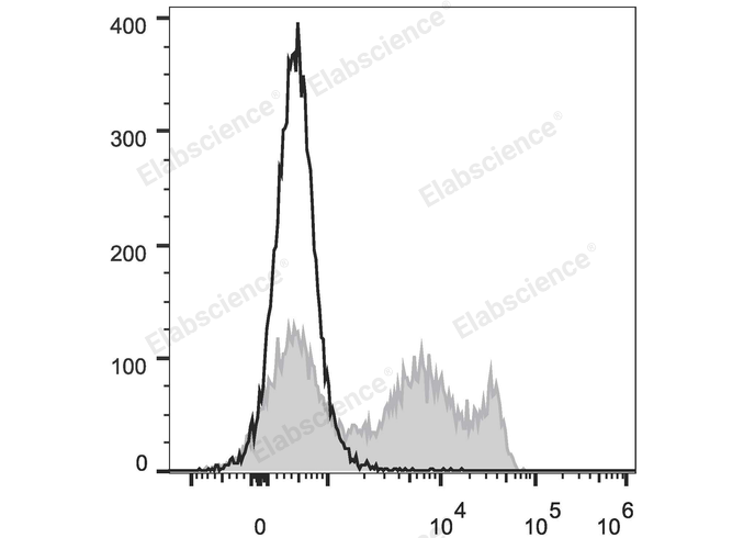 FITC Anti-Rat CD8a Antibody[OX-8]-1