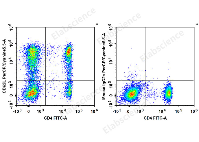 Human peripheral blood lymphocytes are stained with FITC Anti-Human CD4 Antibody and PerCP/Cyanine5.5 Anti-Human CD62L Antibody[HI62L] (Left). Lymphocytes are stained with FITC Anti-Human CD4 Antibody and PerCP/Cyanine5.5 Mouse IgG2a, κ Isotype Control (Right).