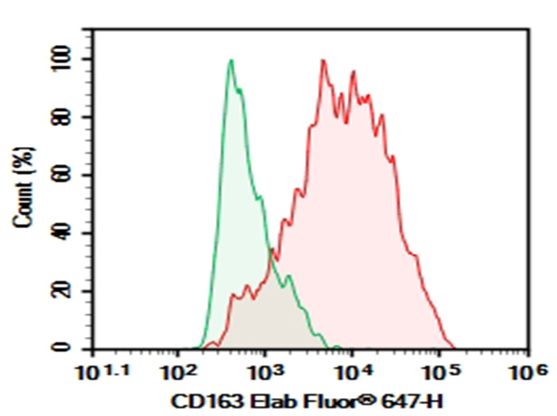 Purified Anti-Human CD163 Antibody[MAC2-158]-1