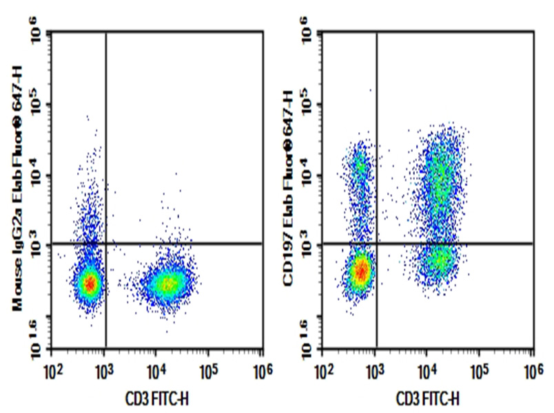 AF/LE Purified Anti-Human CD197 Antibody[G043H7]-1