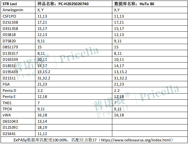 photo1