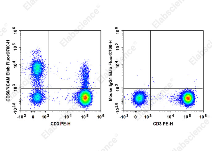 Elab Fluor® 700 Anti-Human CD56/NCAM Antibody[B-A19]-1